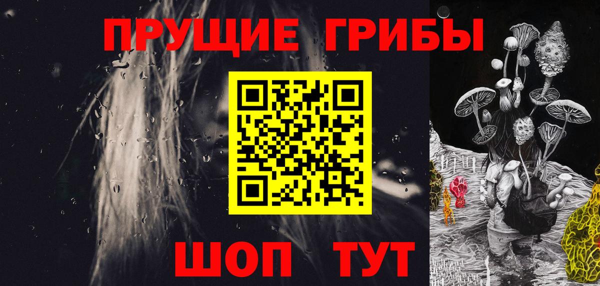 как найти   Псилоцибиновые грибы прущие грибы  Галлюциногенные грибы прущие грибы  Вход с VPN  Луга 